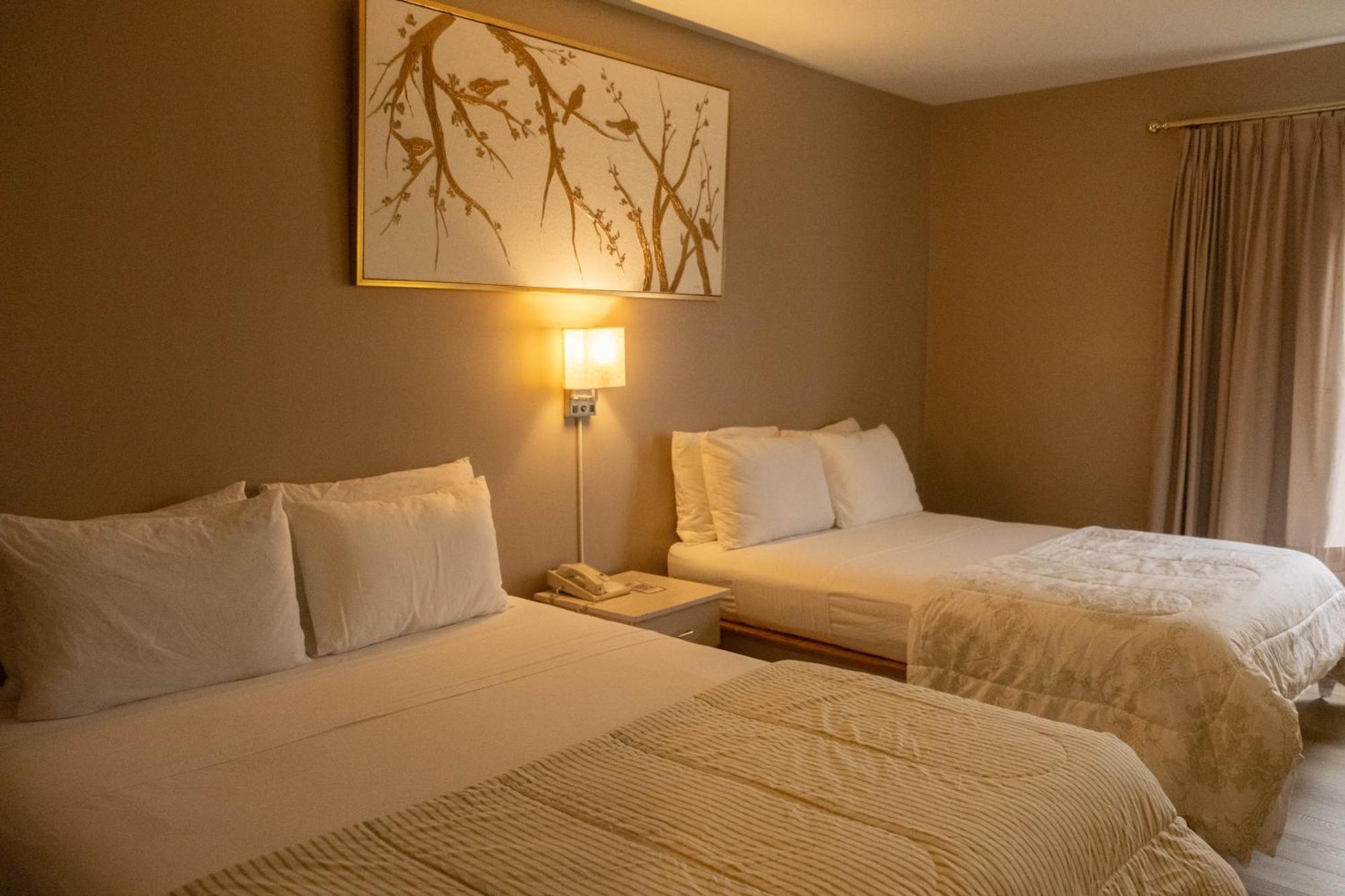 Hotel Saint-Come Eksteriør billede